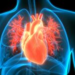 Ways to Keep Your Heart Healthy