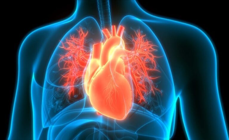 Ways to Keep Your Heart Healthy