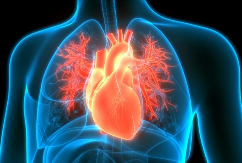 Ways to Keep Your Heart Healthy