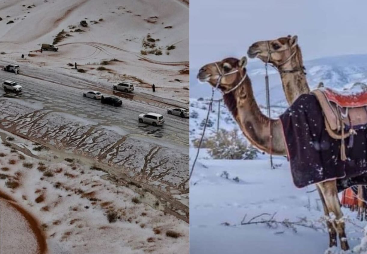 Snowfall, Rain, and Gusty Winds in Saudi Arabia: A Rare Climate Event and Its Wider Environmental Impacts
