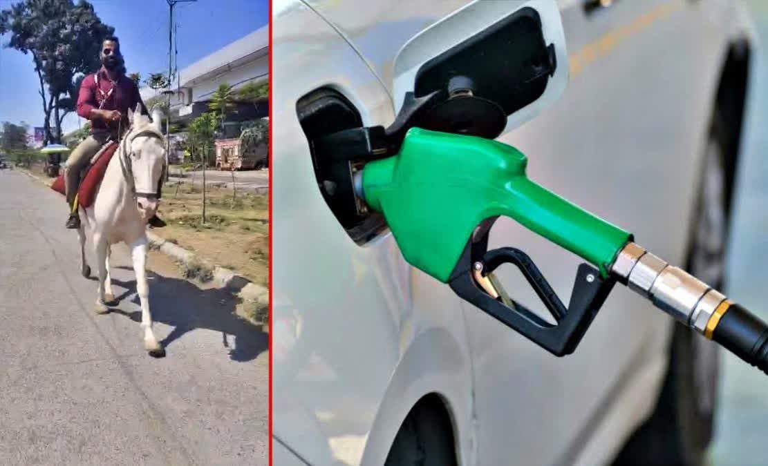 Bank Employee Rides Horse to Office to Avoid Petrol Queue
